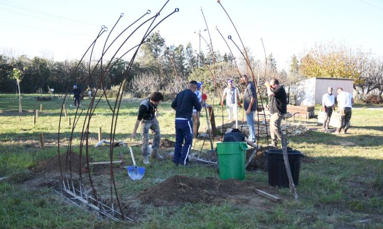 Les jardins familiaux prennent vie !