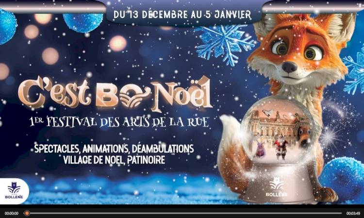 ANIMATIONS EN VIDEO