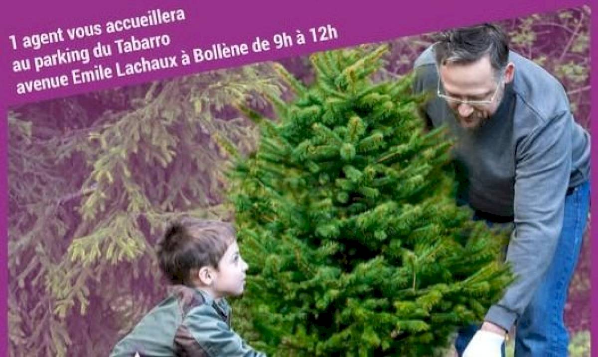 Opération « Adopte un sapin »