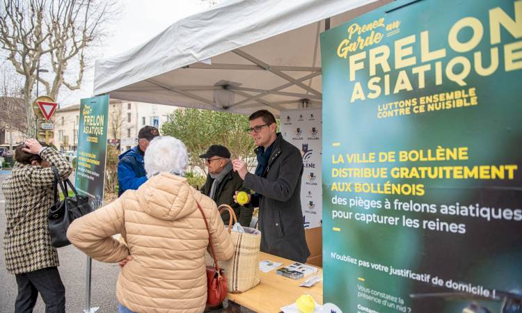 Protégeons nos abeilles contre le frelon asiatique