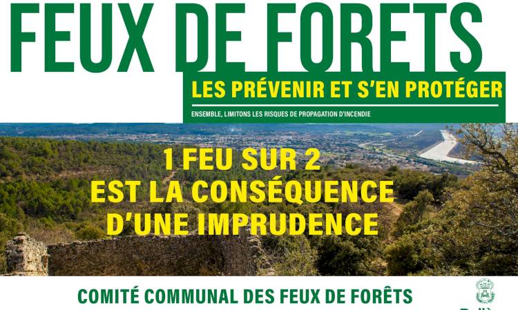 Réunion d'information : Comité communal des Feux de Forêts