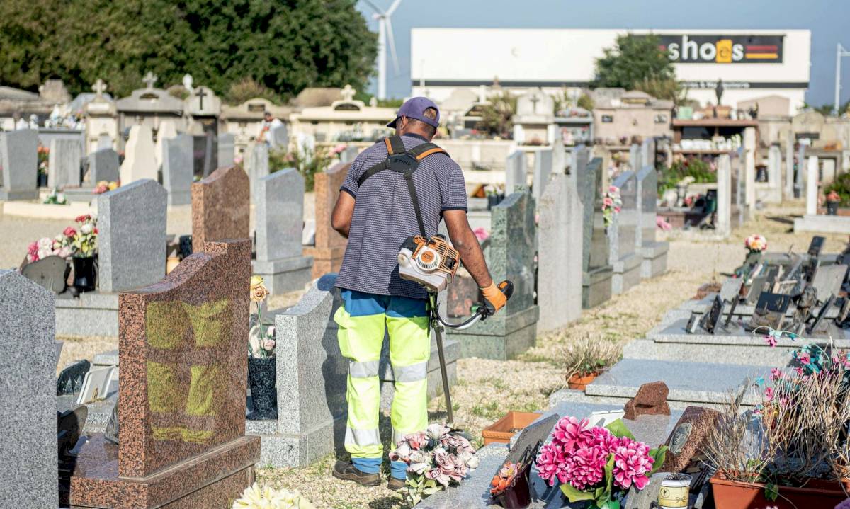Entretien des cimetières pour la Toussaint