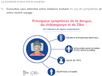 ALERTE moustique-tigre ALERTE moustique-tigre