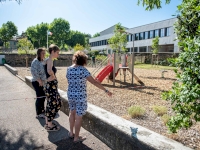 Une cour plus verte à l'école Curie Une cour plus verte à l'école Curie