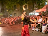 Cabaret Diams : une belle parenthèse artistique Cabaret Diams : une belle parenthèse artistique