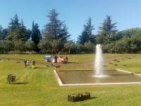 La plantation de bulbes passe à la vitesse supérieure !