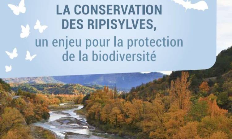 Protection des habitats naturels sur les ripisylves des cours d’eau du Lez : donnez votre avis sur le projet d'arrêté
