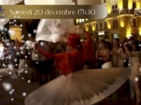 Spectacle aérien - Le Jardin des Anges