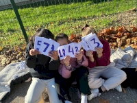 Semaine des droits de l’enfant à l’école Curie Semaine des droits de l’enfant à l’école Curie