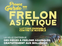 Distribution de pièges à frelons Distribution de pièges à frelons