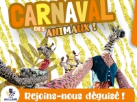Tous en cadence pour le carnaval !