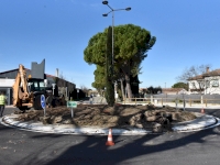  En mai, fais ce qu’il te plaît… : la ville prépare les espaces verts 