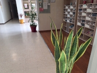 En mai, fais ce qu’il te plaît… : la ville prépare les espaces verts En mai, fais ce qu’il te plaît… : la ville prépare les espaces verts