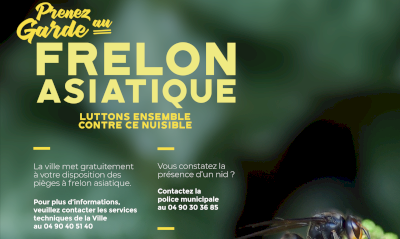 Lutte contre le frelon asiatique Lutte contre le frelon asiatique