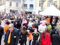 La ville avait des airs de carnaval !