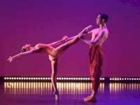 J-4 avant l’arrivée de Cléopâtre à La Cigalière ! J-4 avant l’arrivée de Cléopâtre à La Cigalière !