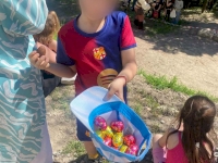 Retour en images sur la chasse aux œufs à Barry Retour en images sur la chasse aux œufs à Barry