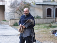 « Bleu nuit » quand la ville devient scène
