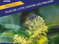 À Bollène, la lutte contre les frelons asiatiques À Bollène, la lutte contre les frelons asiatiques