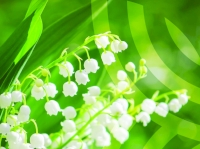 Le 1er mai se fête à la mairie