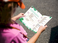 Les programmes des ALSH du mercredi sont prêts !