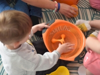 Un joli moment de découverte pour les tout-petits à Lapalud