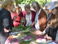 Fête de la nature : une matinée pleine de découvertes à Saint-Ferréol 