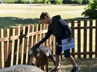 Fête de la nature : une matinée pleine de découvertes à Saint-Ferréol 