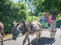 Samedi 23 mai: ne manquez pas le dernier jour de la fête de la nature