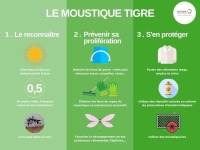 Moustique tigre : adoptons les bons réflexes !