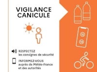 Canicule dans le Vaucluse : vigilance orange canicule