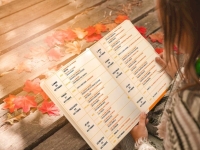 Les programmes ALSH des vacances d'octobre sont disponibles