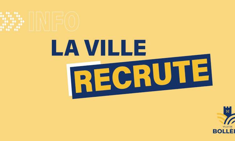Offre d'emploi Coordinateur de centre de loisirs