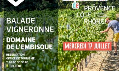 Balade vigneronne au Domaine Julien de l’Embisque Balade vigneronne au Domaine Julien de l’Embisque