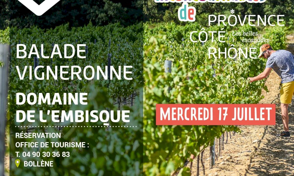 Balade vigneronne au Domaine Julien de l’Embisque