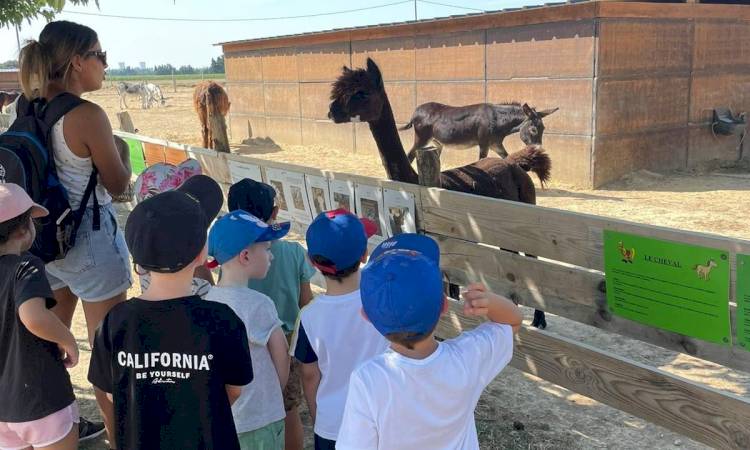 Retour en images des vacances aux centres de loisirs