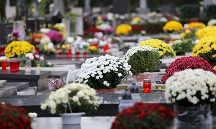 VENTE DE FLEURS PÉRIODE DE LA TOUSSAINT ET DES DÉFUNTS