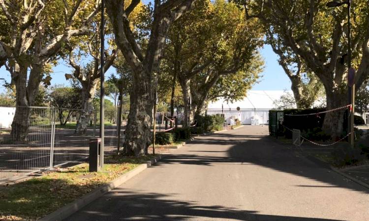 La Foire Saint-Martin se prépare !