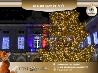Mon BO'Sapin de Noël
