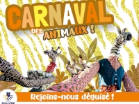 Carnaval des animaux Carnaval des animaux