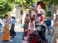 LEZ DANSE guinguette LEZ DANSE guinguette