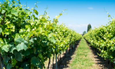 La Bastide Jourdan La Bastide Jourdan